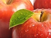 Meyve Çeşitlerinden