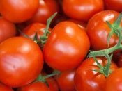 Sebze Çeşitlerinden